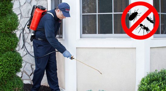 Emirgazi Hamam Böceği İlaçlama böcek ilaçlama ve haşere kontrolü — ilaclama-tr.com